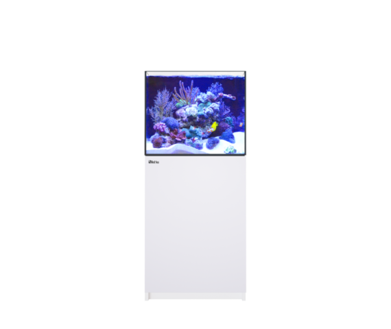 Red Sea Reefer 200 System G2+ - white